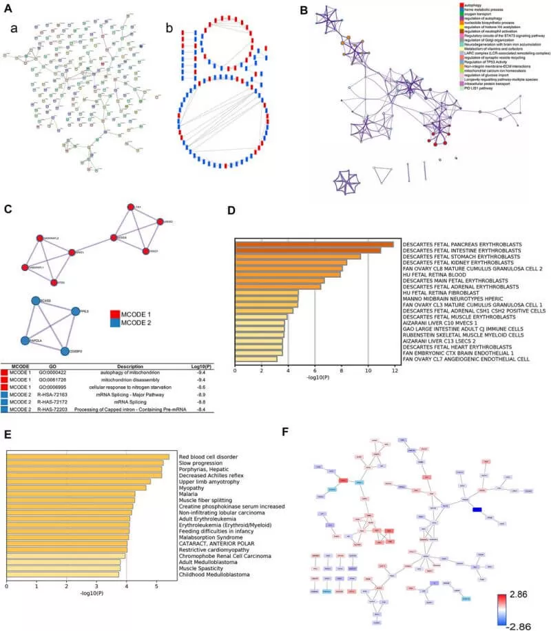 Selection of core proteins from the PPI network